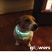 Glowing Pet Collar